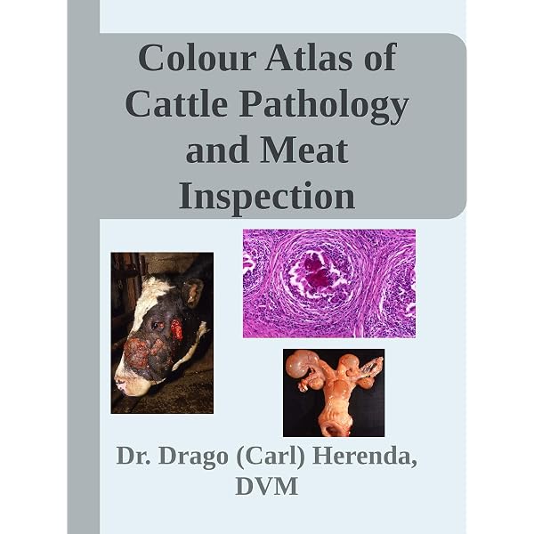 Colour Atlas of Pig Pathology and Meat Inspection - Kindle edition